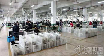 溫州鞋廠引進先進設備，產品開發與效率實現立竿見影提升