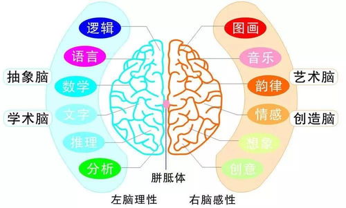 2017年北京全腦超速記憶國慶集訓營 告別死記硬背，激發孩子無限潛能